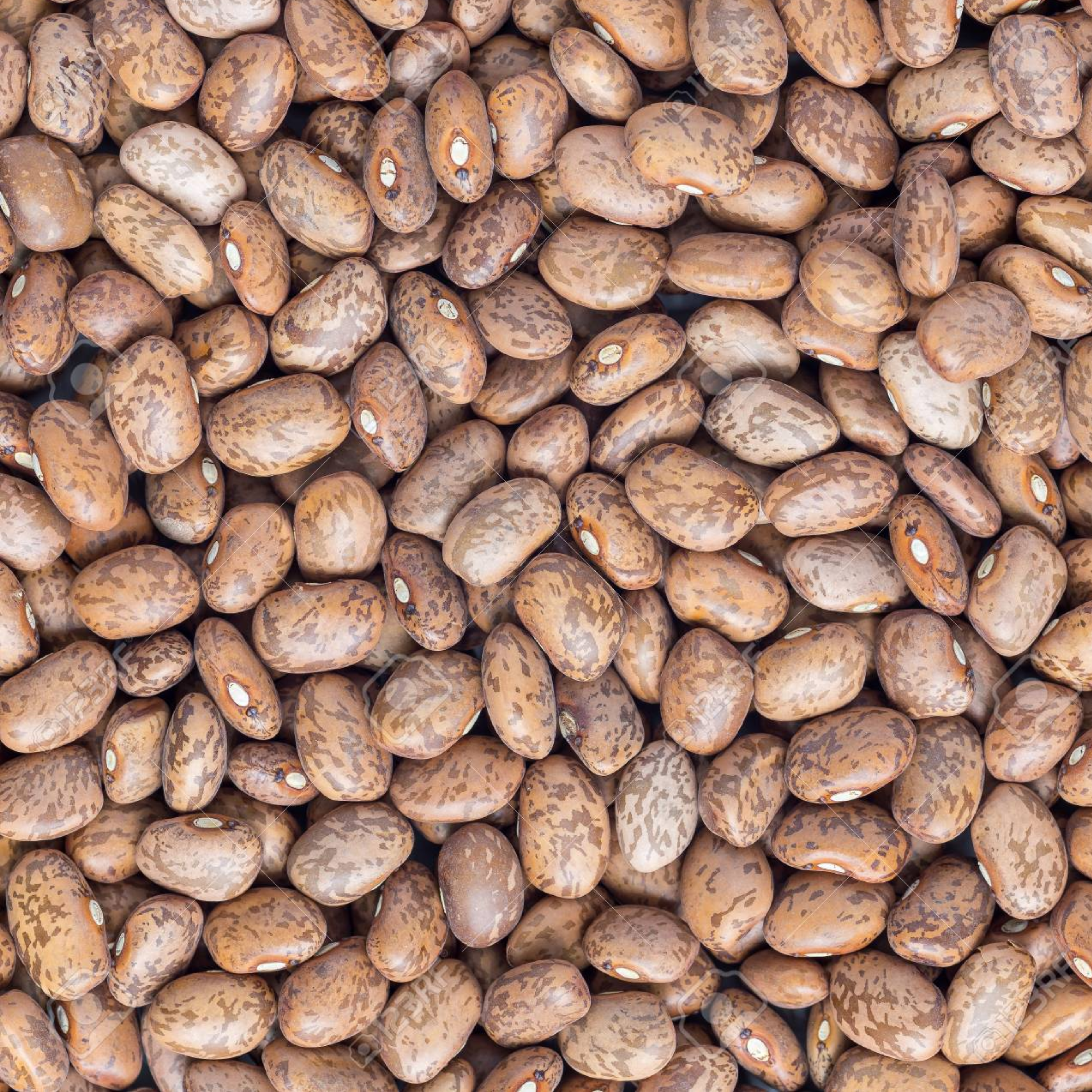 Frijol Pinto Las Catrinas 500g – Frijoles Mexicanos para Cocinar